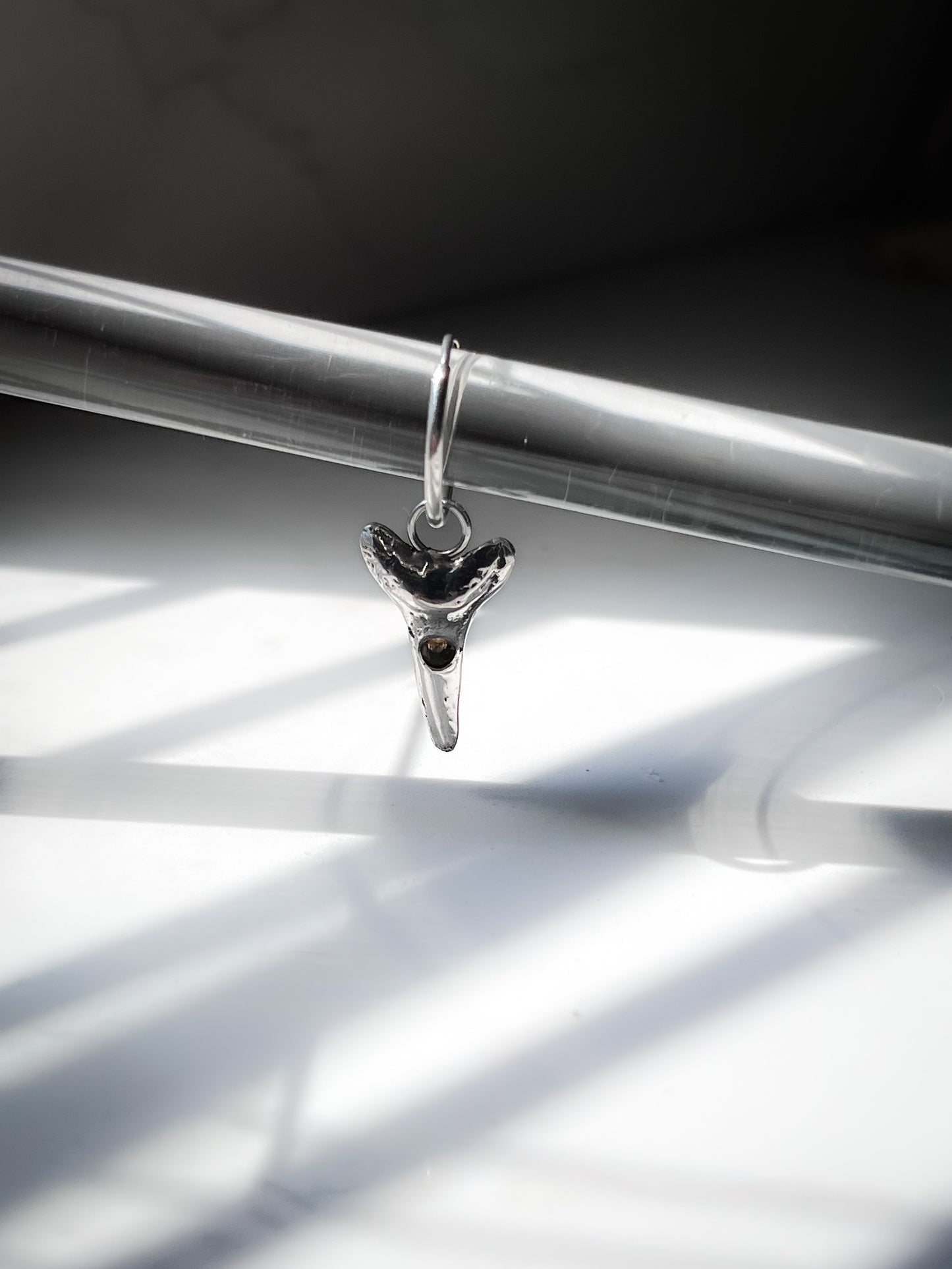 Shark Tooth Charm on 15 mm Endless Hoop