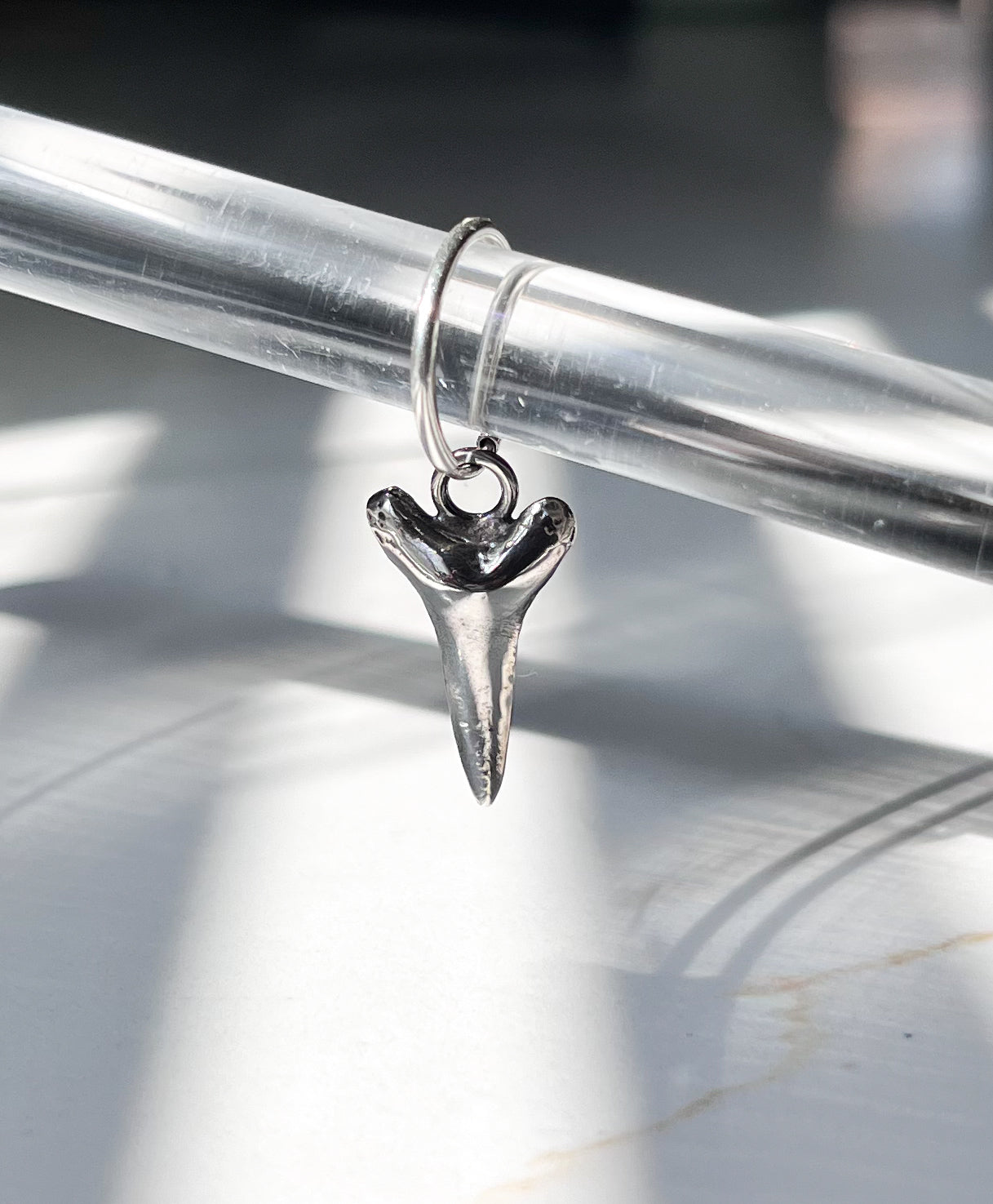 Shark tooth no gemstone on endless hoop 