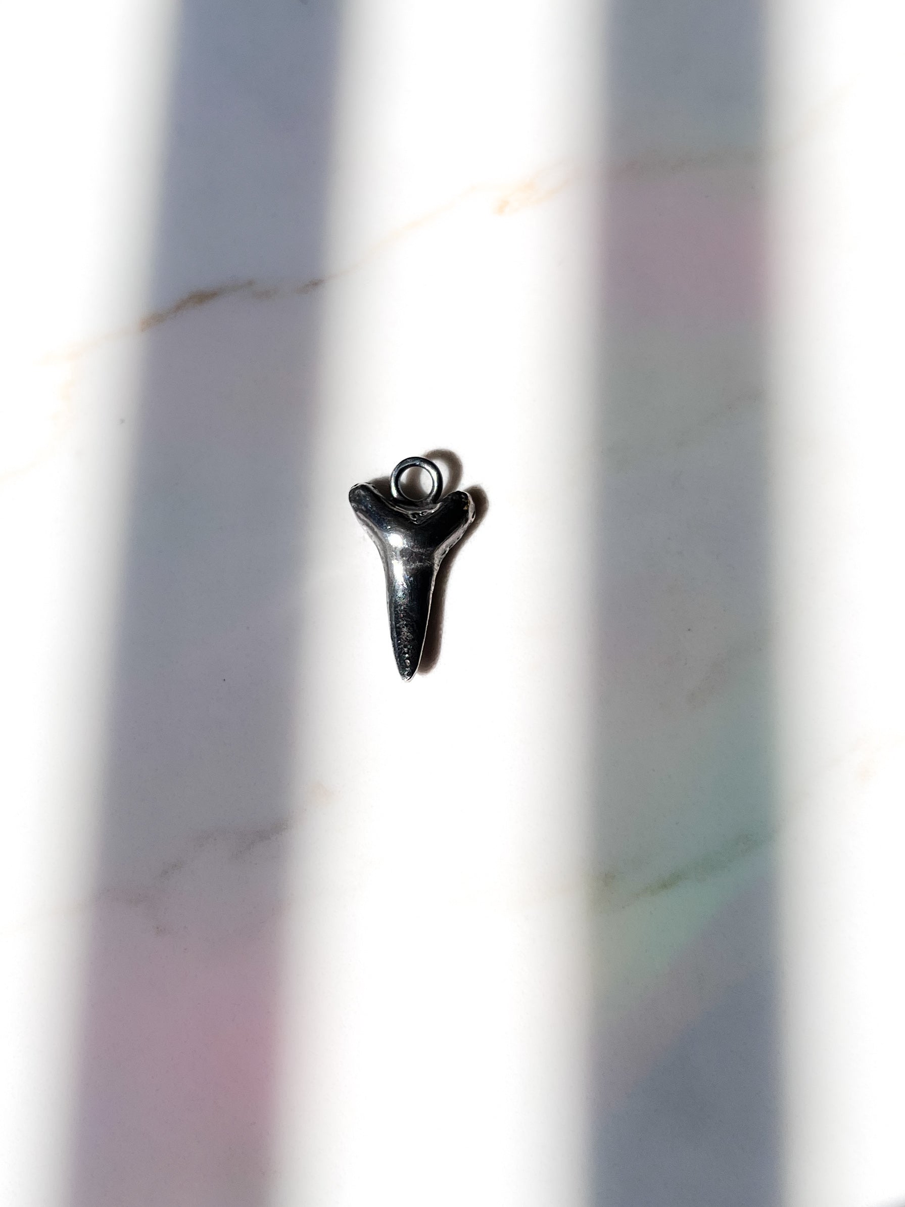 Shark tooth no gemstone by itself 