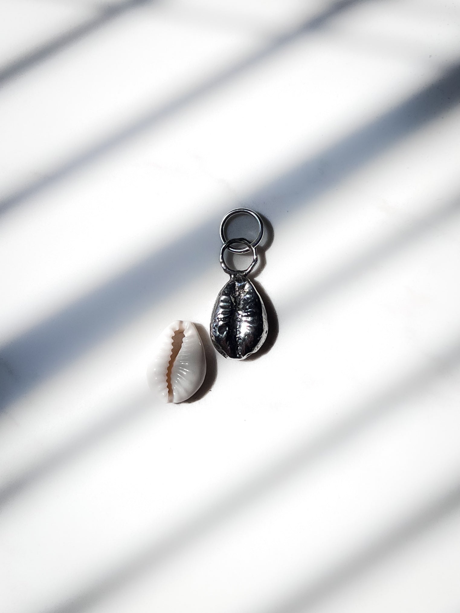 Silver Cowrie shell charm next to real charm