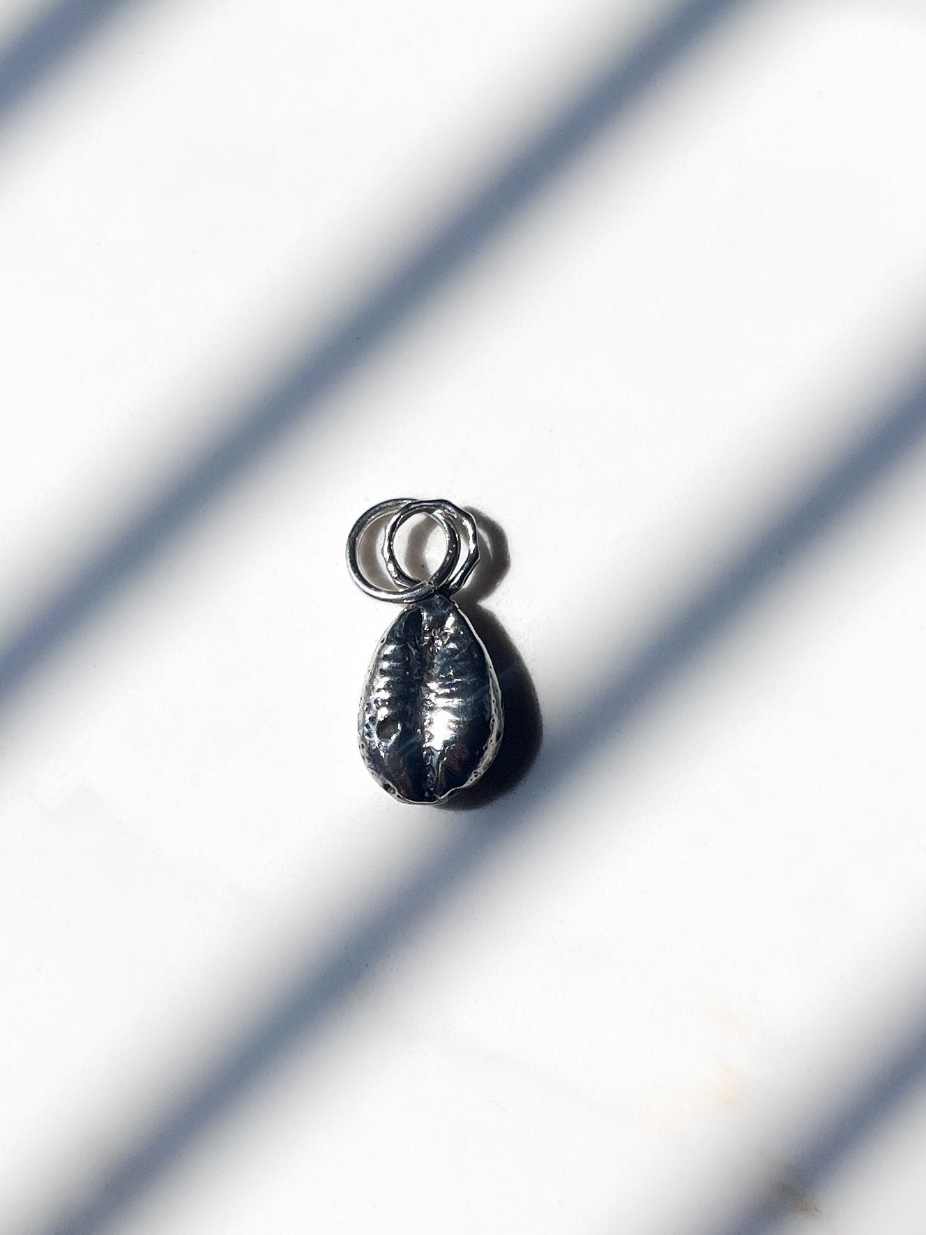Cowrie Shell charm by itself