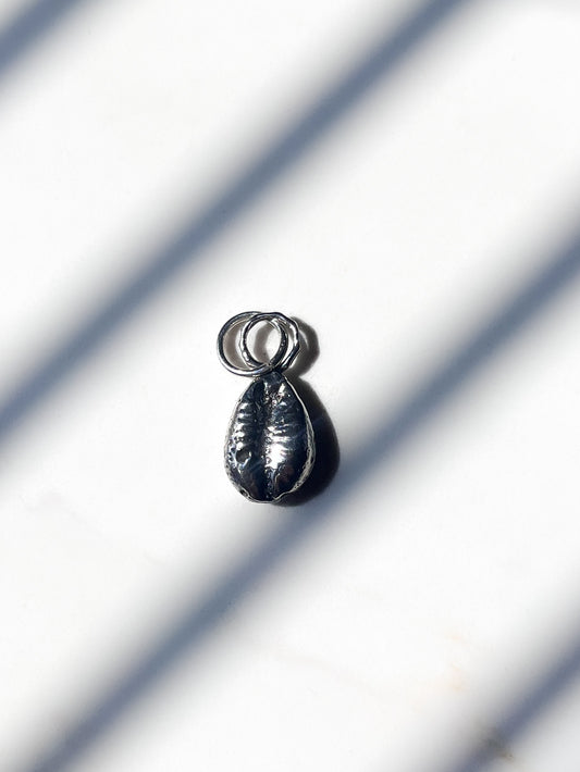 Cowrie Shell charm by itself