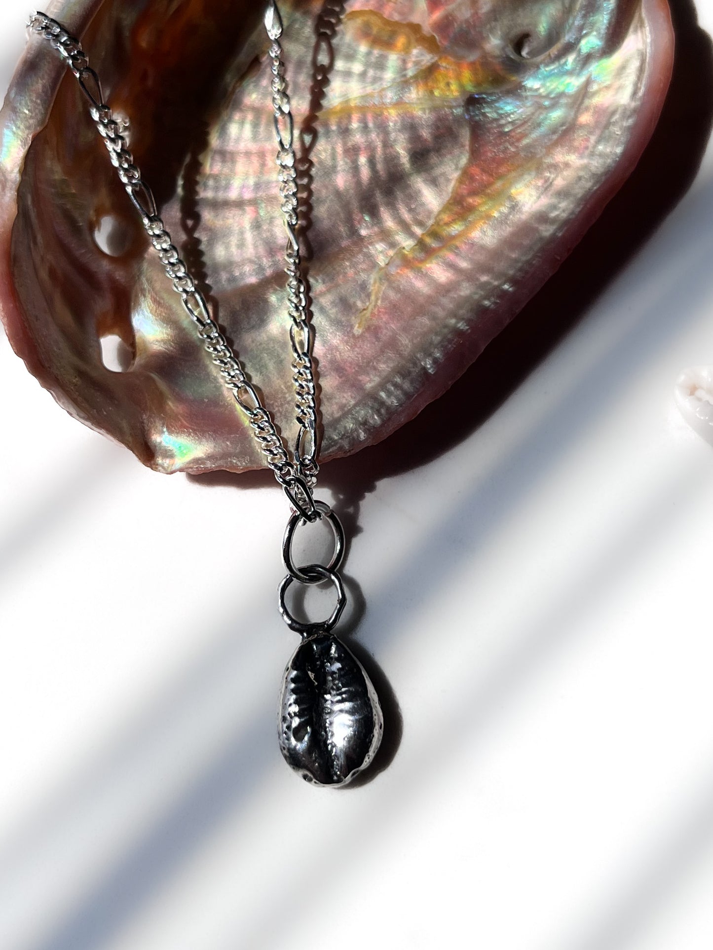 Cowrie Shell Charm on Silver Chain over Abalone Shell