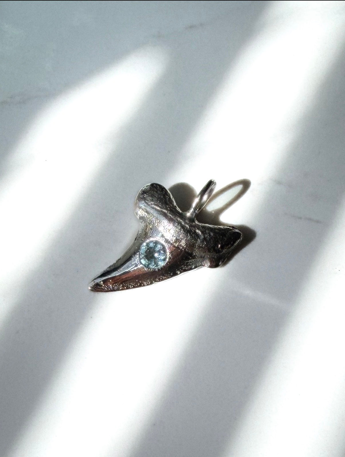 Large Shark Tooth