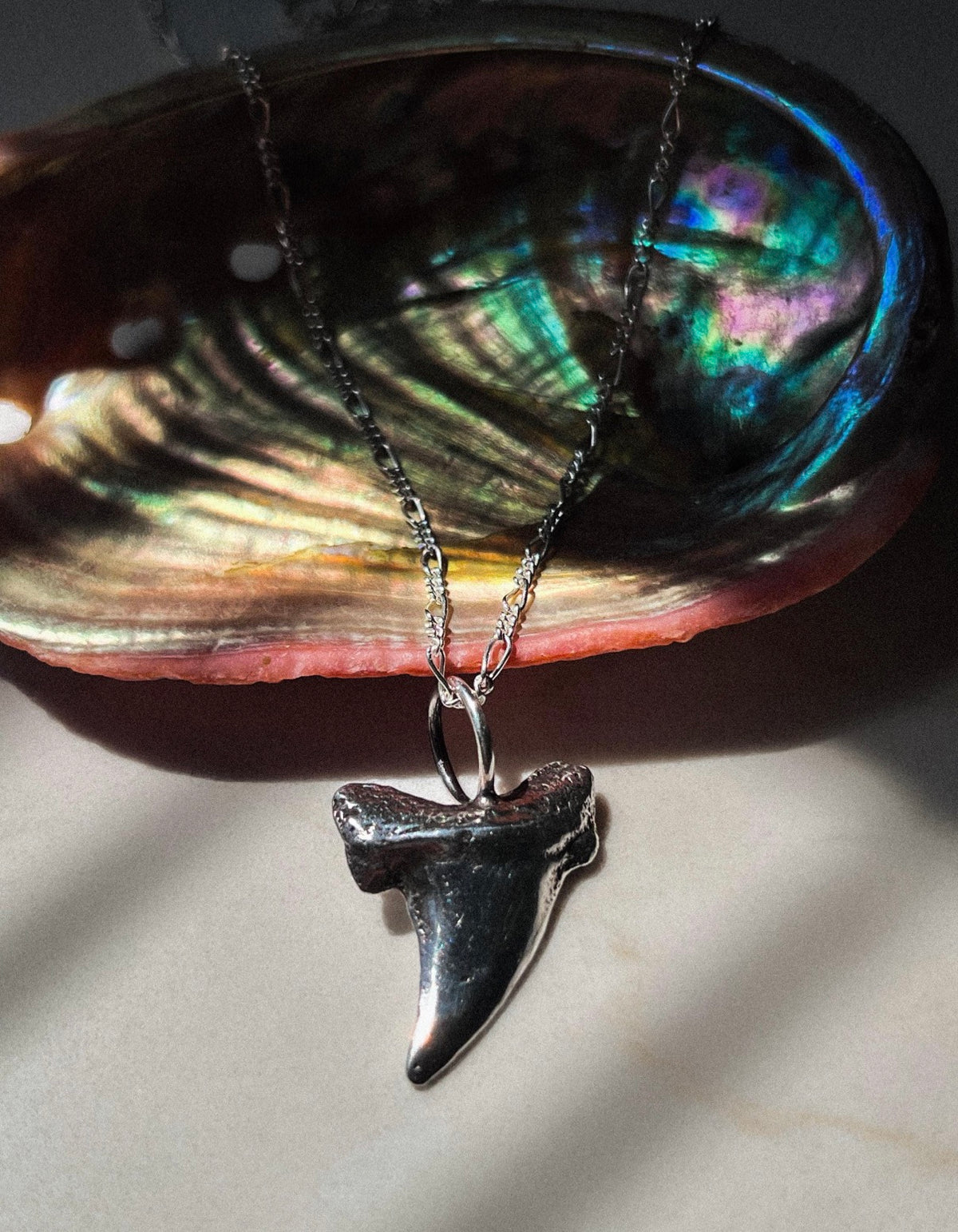 Large Shark Tooth