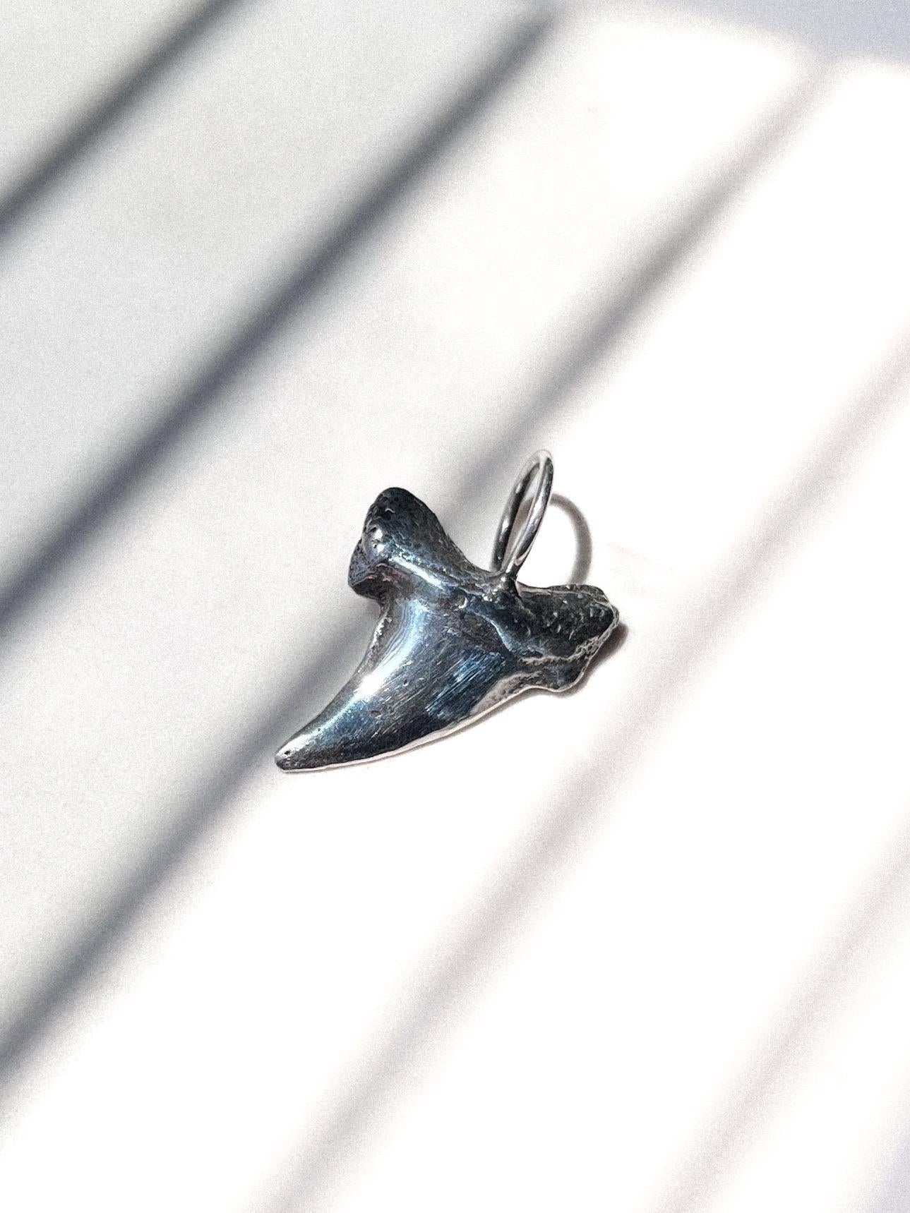 Silver Shark Tooth Pendant Sand Casted