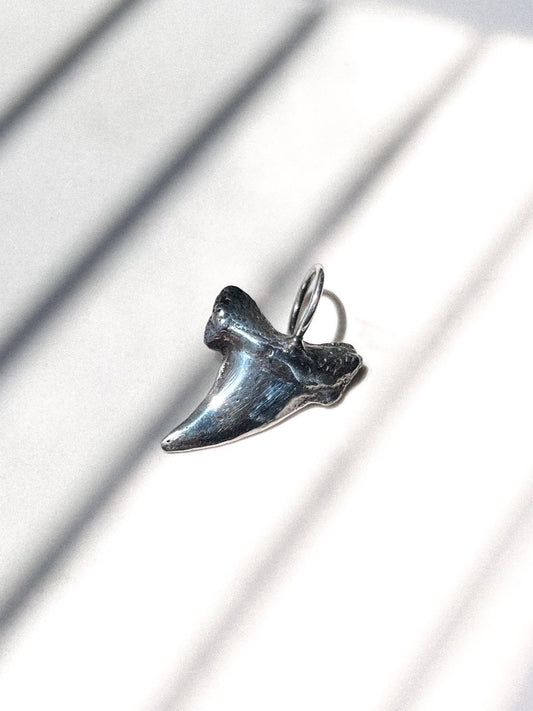 Silver Shark Tooth Pendant Sand Casted