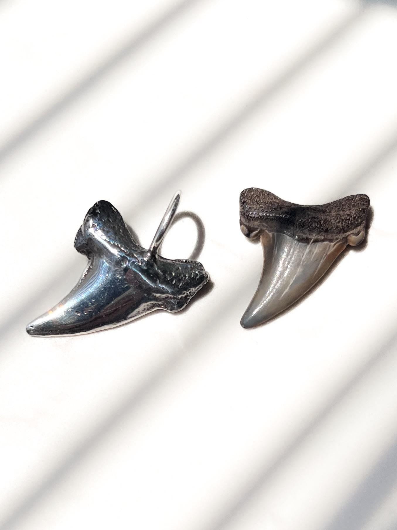 Shark tooth charm real shark tooth gemstone option