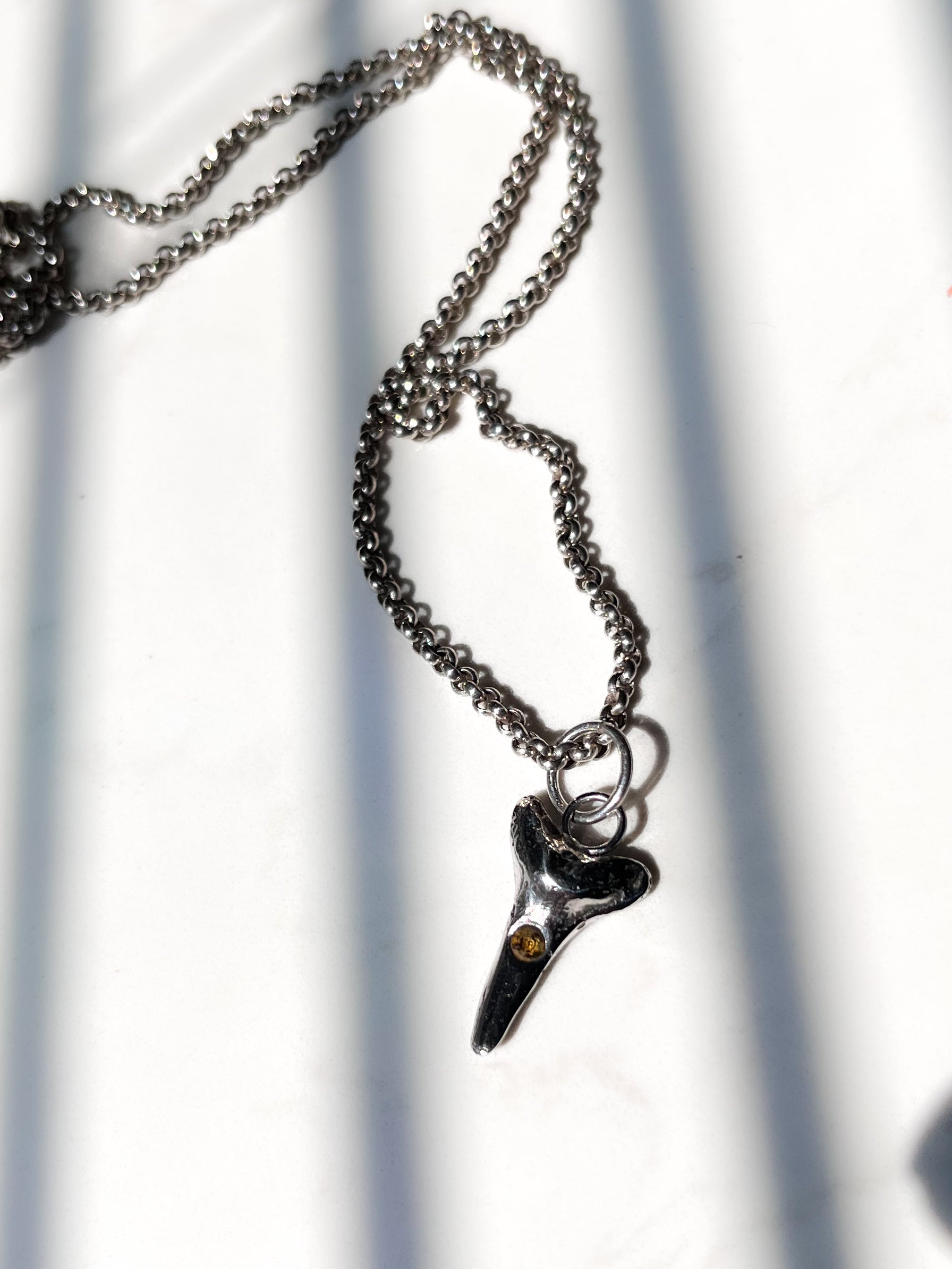 Shark Tooth Charm On Silver Rolo Chain
