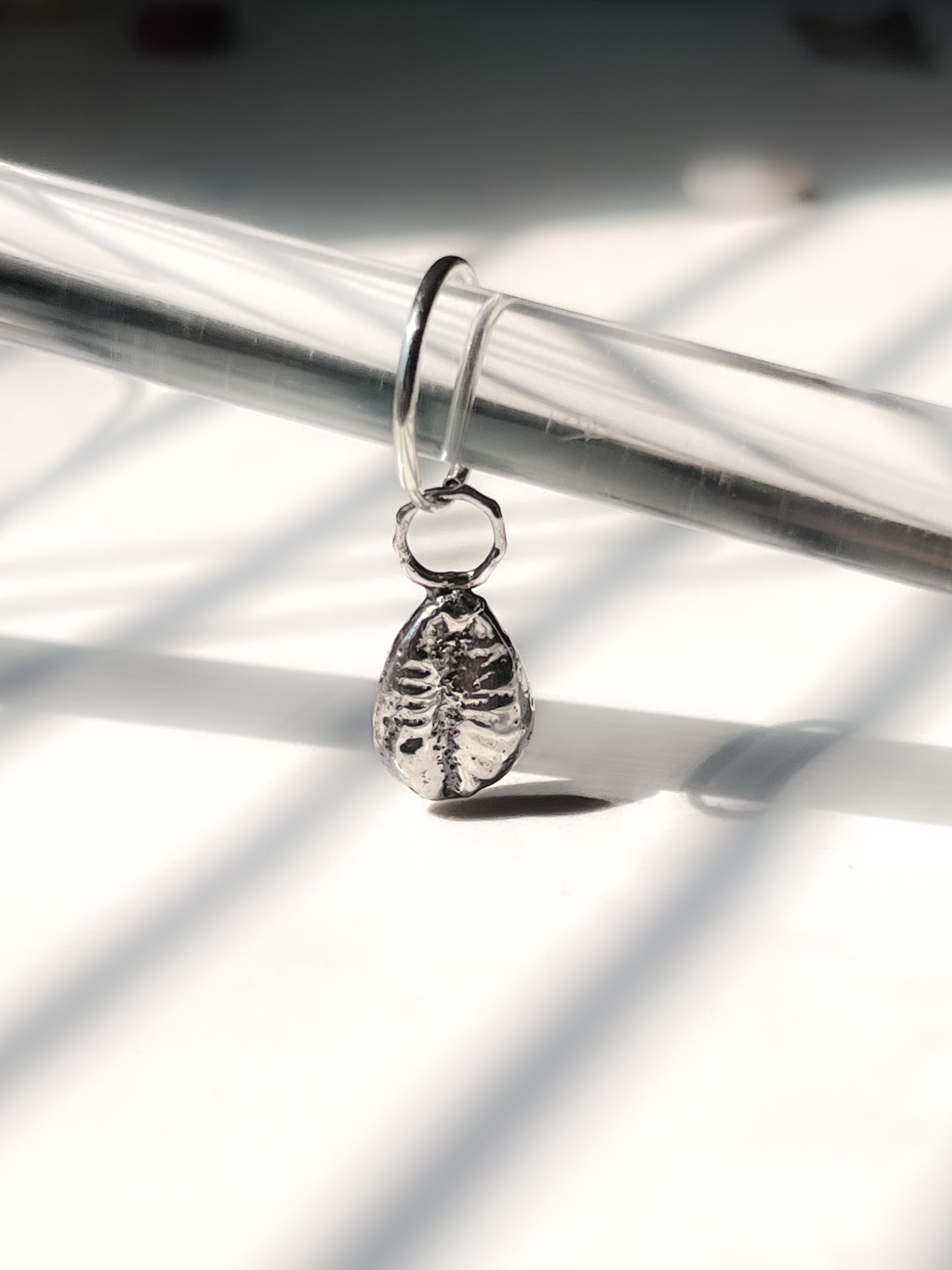 Silver Cowrie Charm on Endless Hoop