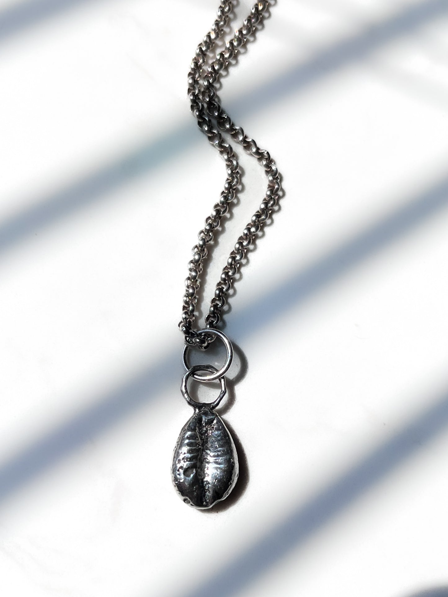 Silver Cowrie Charm Attached to a Chain