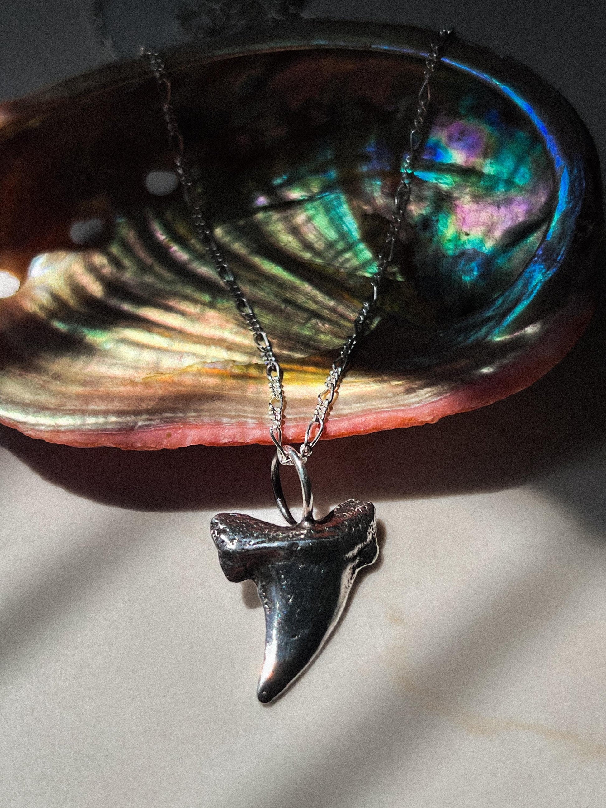 Silver Shark Tooth Pendant Charm 